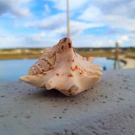 Baia Del Cigno Hotel 3*